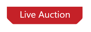 Live Auction